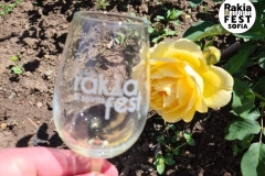 RakiaFest_spring_2021_00040
